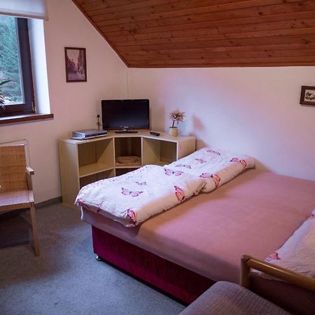 Apartment Harrachov/Riesengebirge 2400 מראה חיצוני תמונה